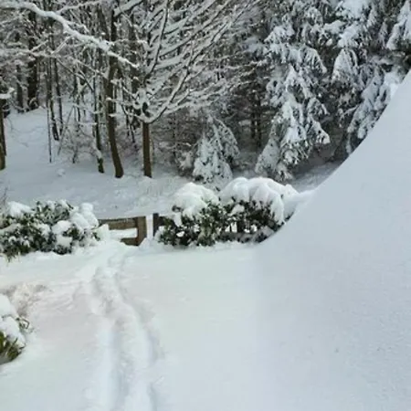 Am Wald 度假居 Ronshausen